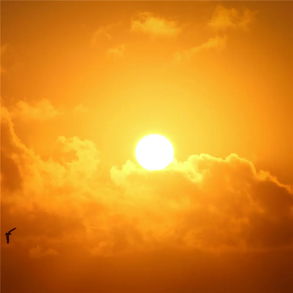 Vitamin D