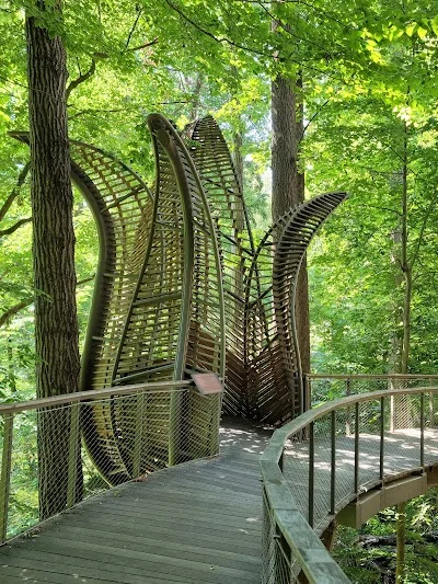 Fernbank Museum | 3D Theater | Forest