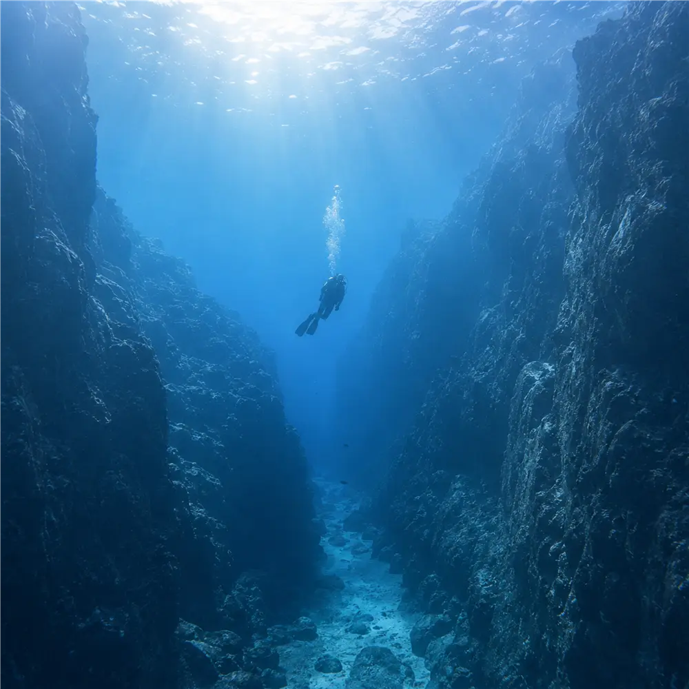 The Ocean Floor Is Less Explored Than the Moon