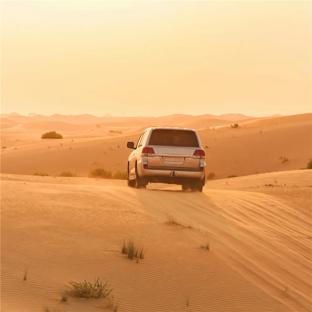 The Desert Experience