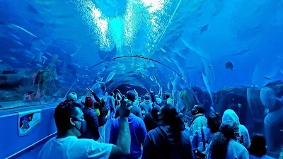 Georgia Aquarium