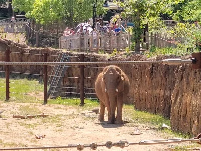 Zoo Atlanta