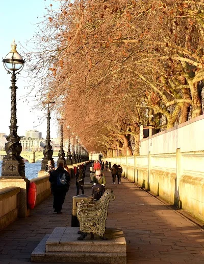 Architecture Of Life Walking Tour