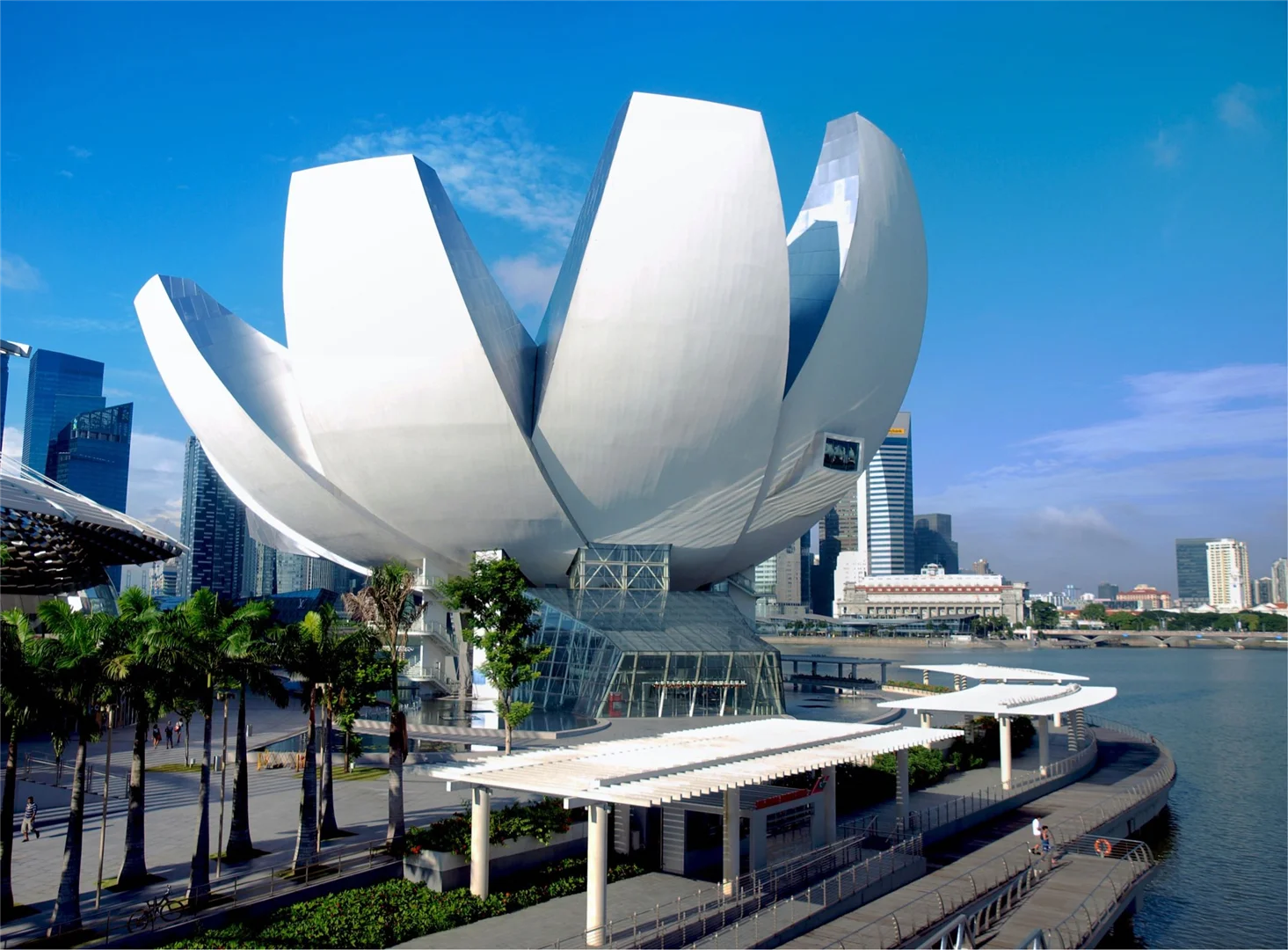 Art science museum 
